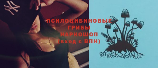 гашик Лиски